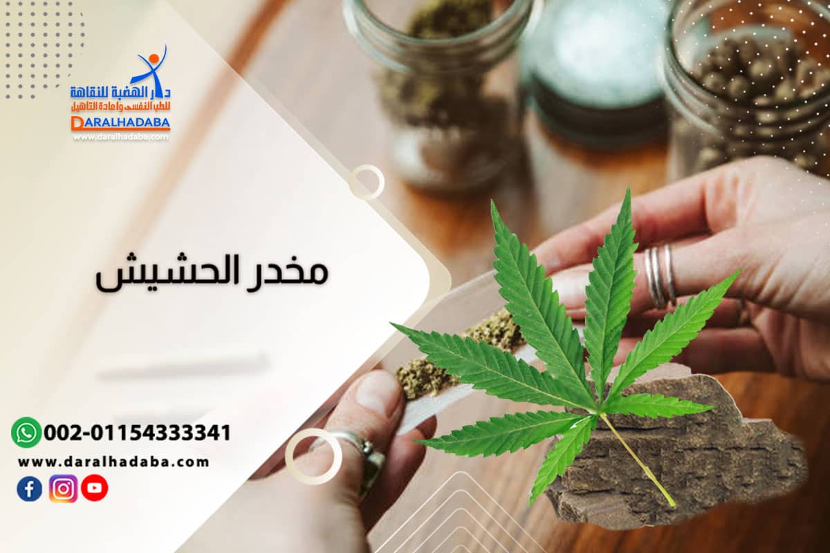 مخدر الحشيش شكله مخدر الحشيش شكله